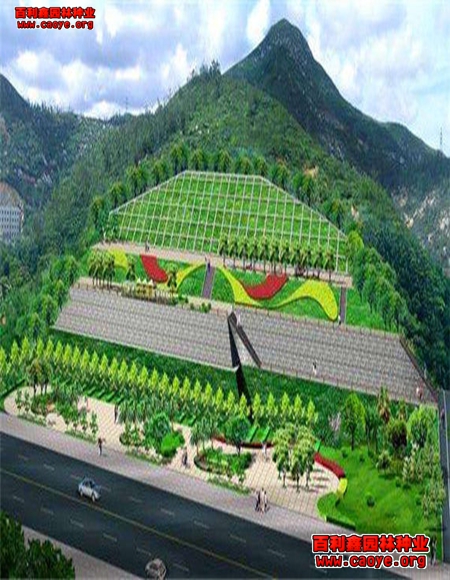 生态护坡草坪种子