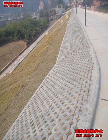 通辽铁路护坡草种草籽