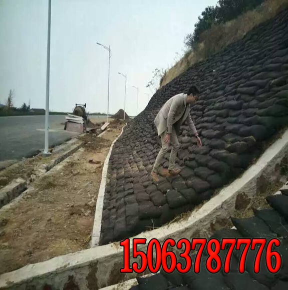 三维土工网是什么东西?