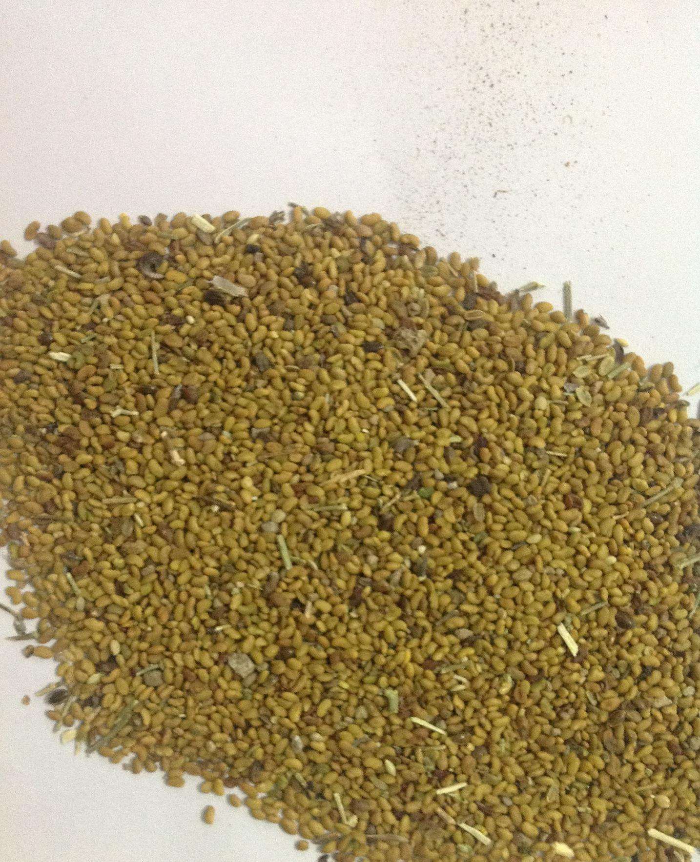 种什么草,鹅比较喜欢？