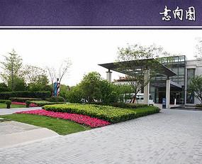 别墅种什么草坪 ***