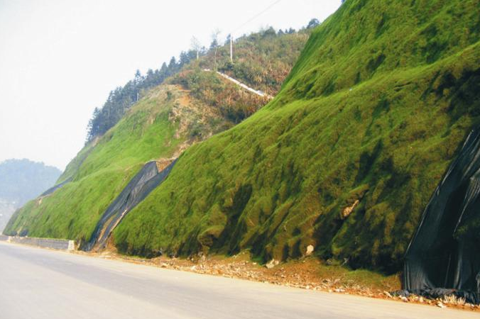 贫瘠地适合种什么草可以防尘防风沙固土