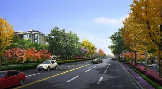 乡村公路绿化图