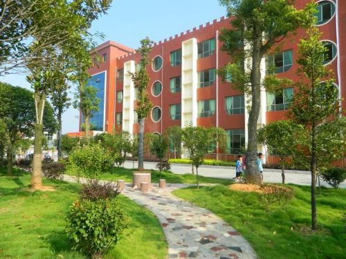 2019年学校操场用什么样的草坪草种好