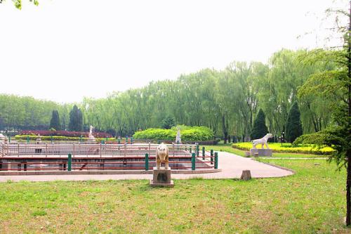 美丽乡村绿化种什么实施方案