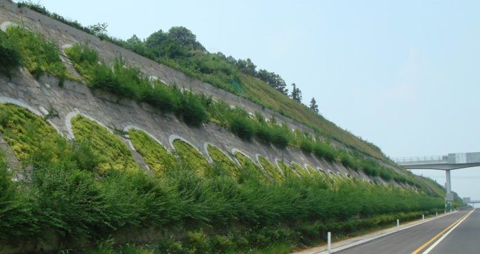 高速公路护坡草坪种子供应商
