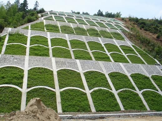 南平高速公路护坡绿化草籽