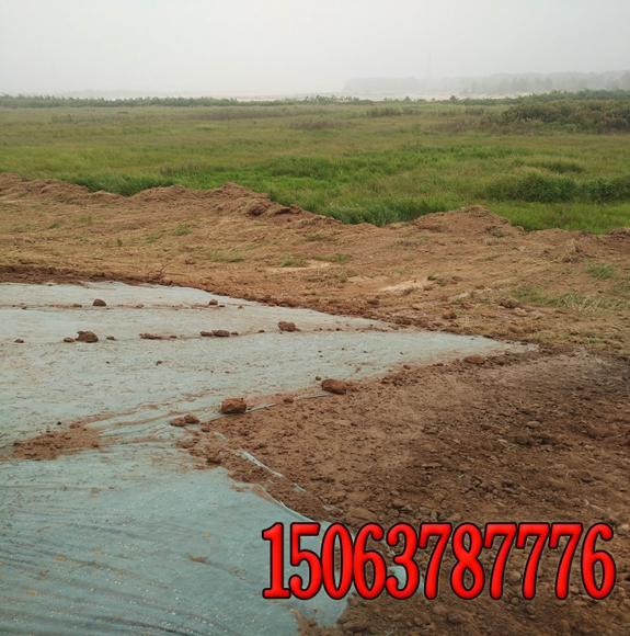 高速公路铁路护坡草种狗牙根批发找谁