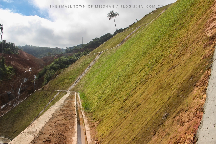 梁山县公路护坡草种种哪种好
