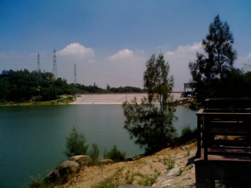 美丽乡村河道护坡种植什么草籽好