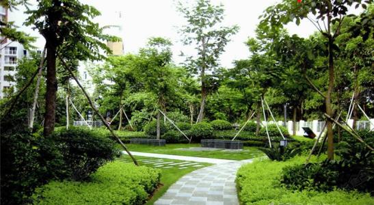 城市小区绿化草种哪里有卖的