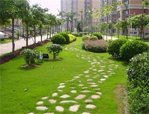 黑麦草混播草坪的***害