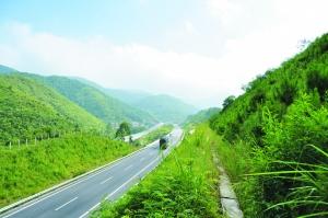 四川成都混播草草坪种子