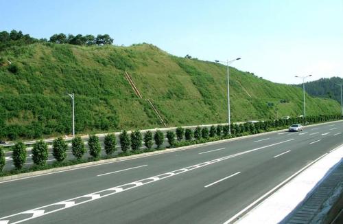 高速公路护坡草种供应厂家