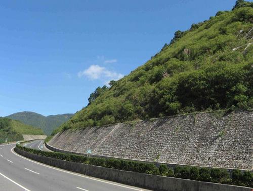 高速公路护坡草种供应厂家