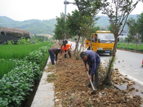 公路两旁用什么草种既保持水土流失又美观