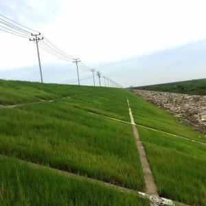 福建边坡绿化防护