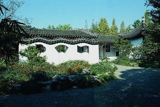 院子里适合种什么草坪草种