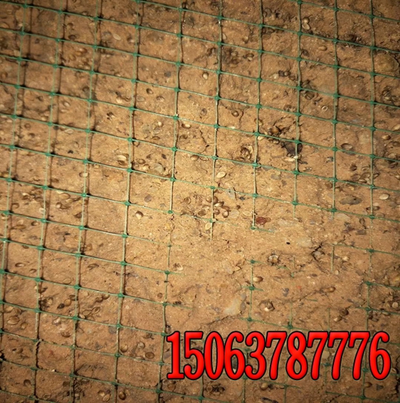 边坡绿化草籽   