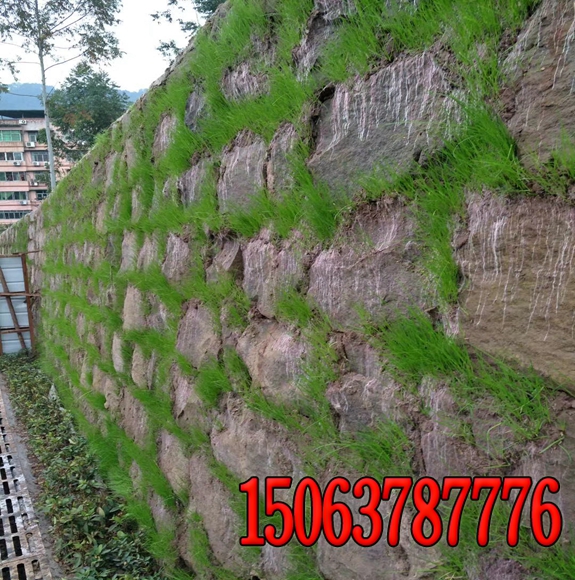 边坡绿化覆土