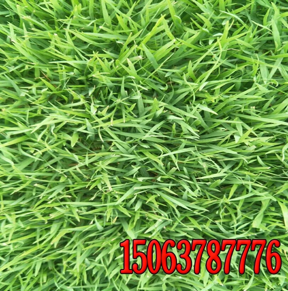 矿山边坡绿化无纺布