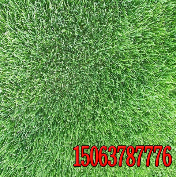河南边坡绿化无纺布