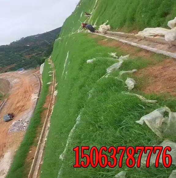 高速公路边坡绿化无纺布