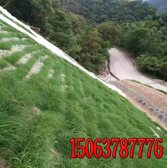 河南高速公路边坡绿化