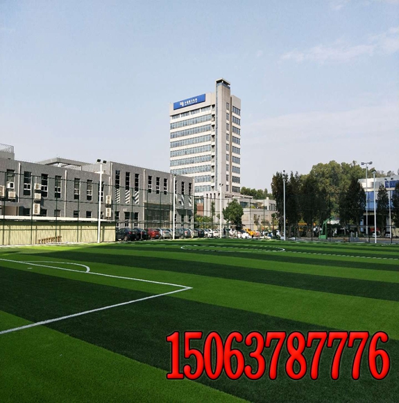 绿化工地用什么草籽
