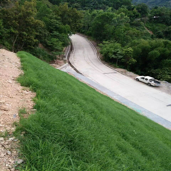 绿化护坡