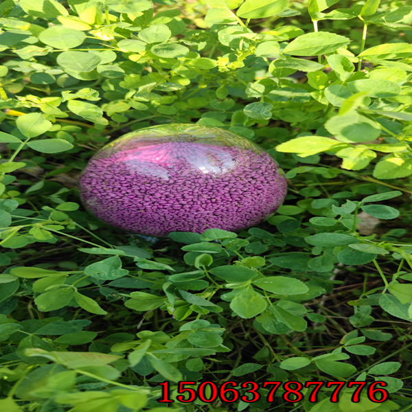 苜蓿草一亩地用多少草籽？
