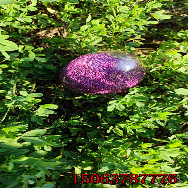 紫花苜蓿草籽怎么种？