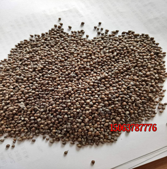 什么草坪种子适合种在楼顶种植？