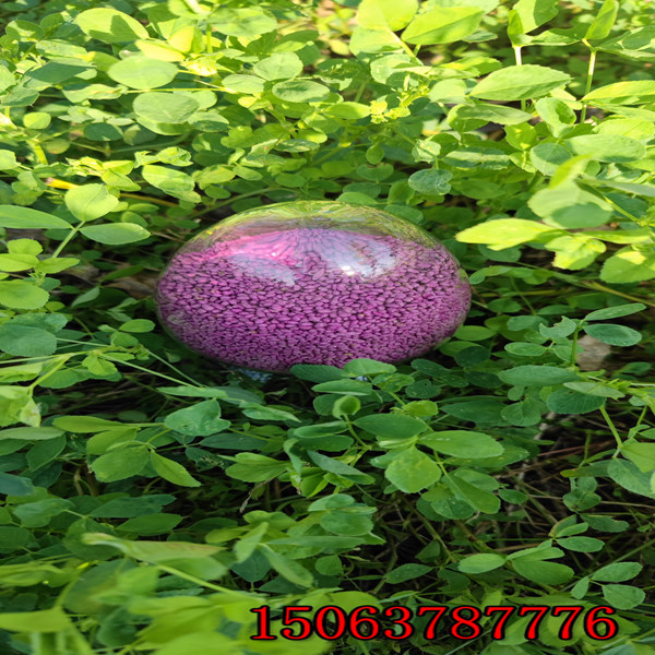 苜蓿草籽播种量