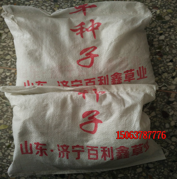 怎样买到质量好的草坪种子？