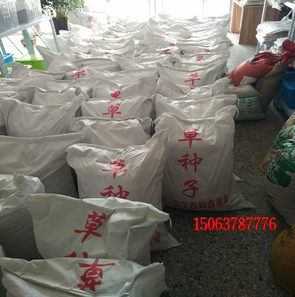 怎样买到质量好的草坪种子？