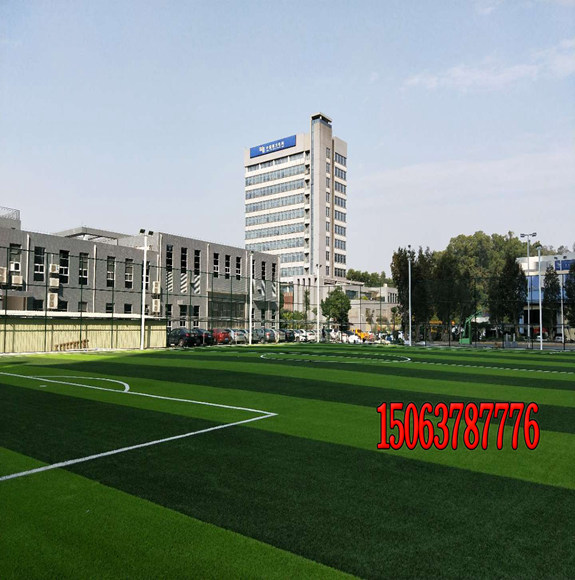 足球场用草坪种子用什么品种？