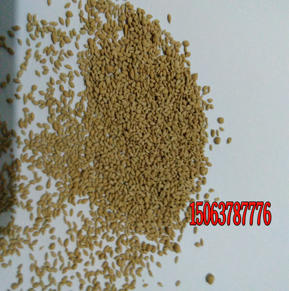 草坪种子不发芽怎么办？