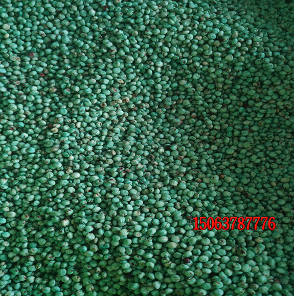 秋冬适合种植什么草坪种子？