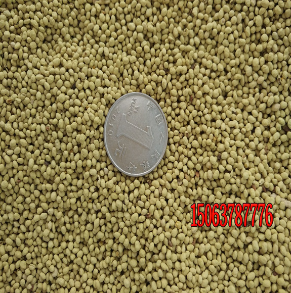 草坪种子一般哪个季节可以种植？
