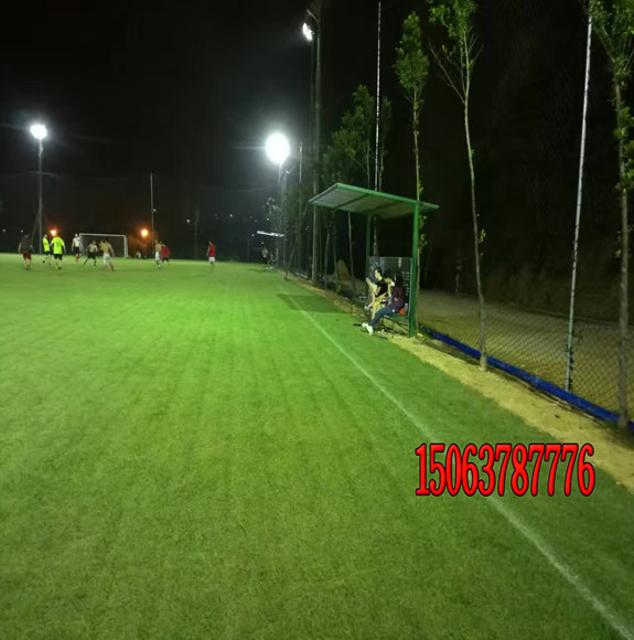 怎样养护狗牙根草坪？